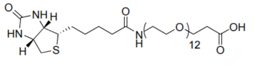 BIOTIN-十二聚乙二醇-丙酸