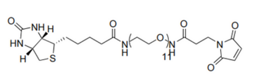 Biotin-PEG11-Mal