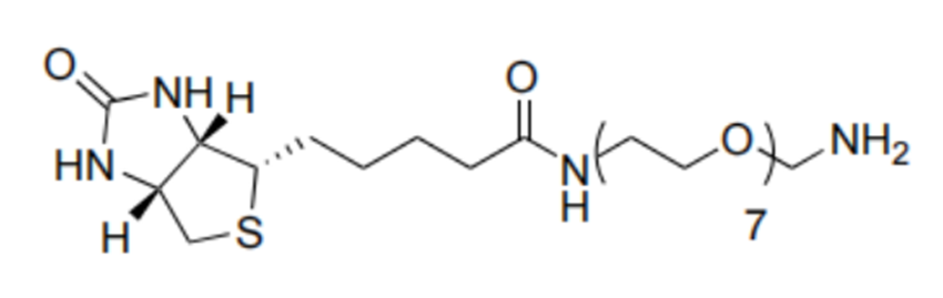 生物素-八聚乙二醇-氨基