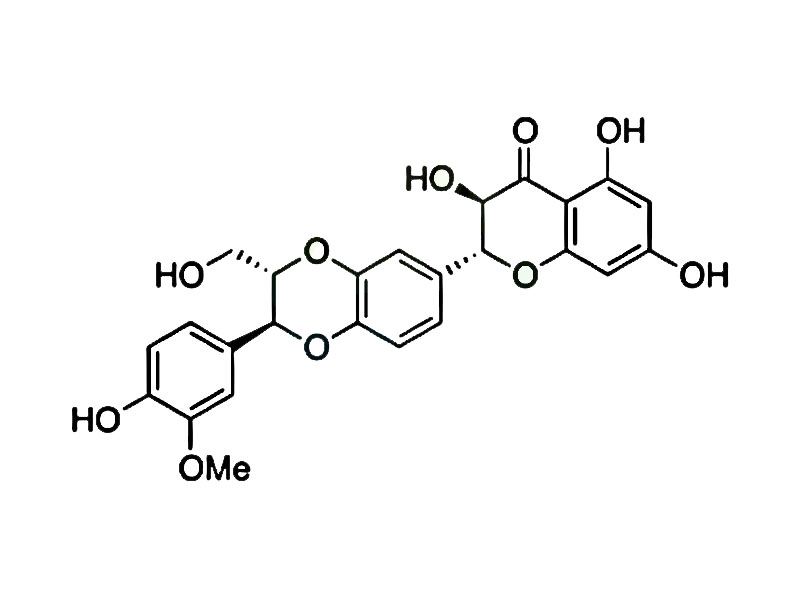 异水飞蓟宾B