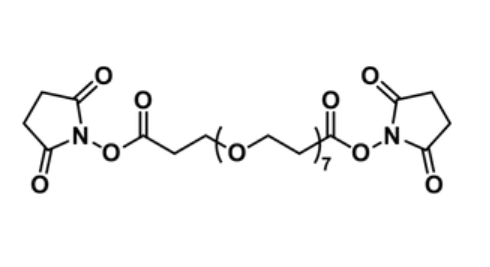 Bis-dPEG7-NHS ester