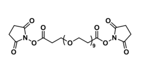 双取代丙烯酸琥珀酰亚胺酯-二十四聚乙二醇
