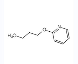 2-正丁氧基吡啶