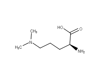 (2S)-2-amino-5-(dimethylamino)pentanoic acid