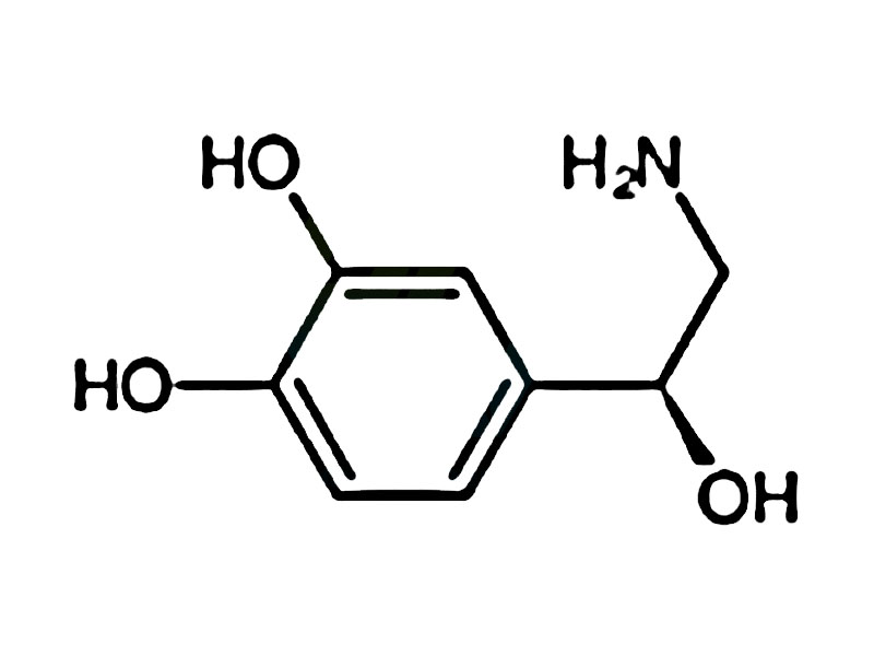 S型去甲肾上腺素