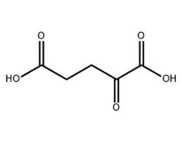 α-酮戊二酸/328-50-7