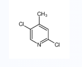 2,5-二氯-4-甲基吡啶