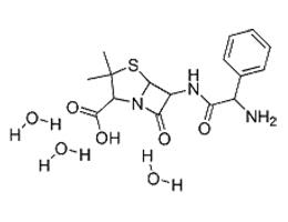 氨苄青霉素/7177-48-2