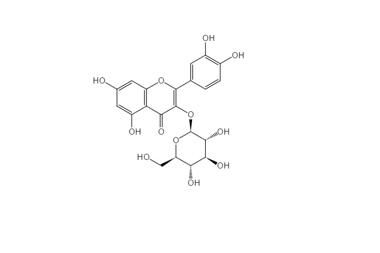 槲皮素-3'-O-葡萄糖苷
