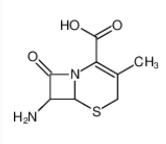 7-氨基去乙酰氧基头孢烷酸