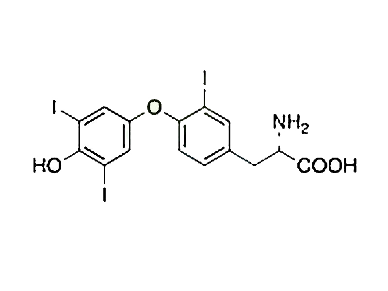 左甲状腺素钠EP杂质K