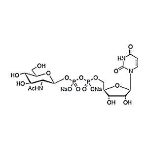 5′-二磷酸尿嘧啶核苷-N-乙酰半乳糖胺二钠盐