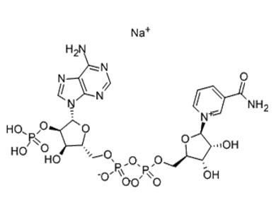  β-烟酰胺腺嘌呤二核苷酸磷酸钠盐—1184-16-3