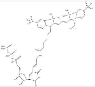 Cy3-UTP