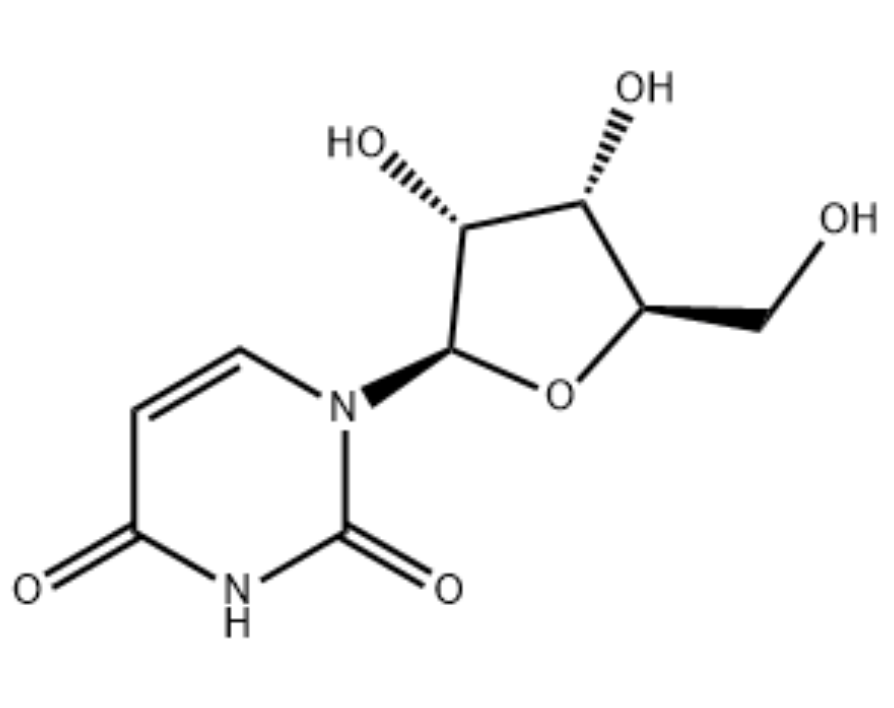 尿苷