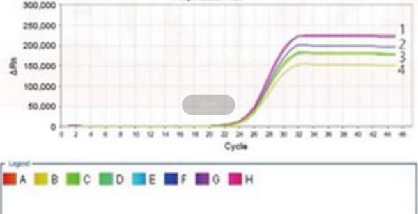 马流产沙门氏菌探针法荧光定量PCR试剂盒