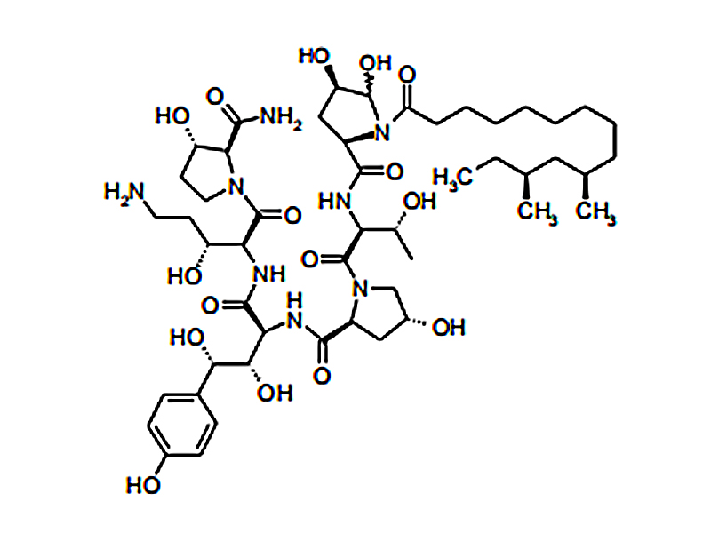 醋酸卡泊芬净杂质IV