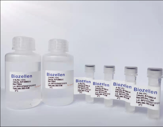 Biozellen3D类器官培养基质胶套装