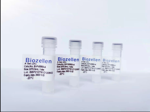 Biozellen3D  类器官培养基质胶套装