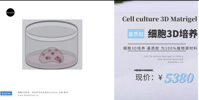 Biozellen3D类器官培养基质胶套装