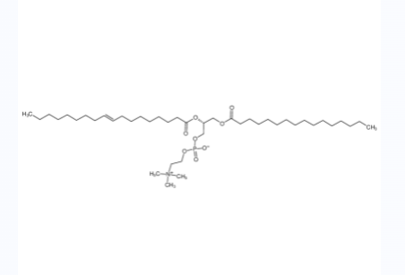 2-油酰-1-棕榈锡甘油-3-磷酸胆碱