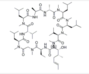 环孢菌素H