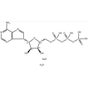 三磷酸腺苷二钠盐水合物