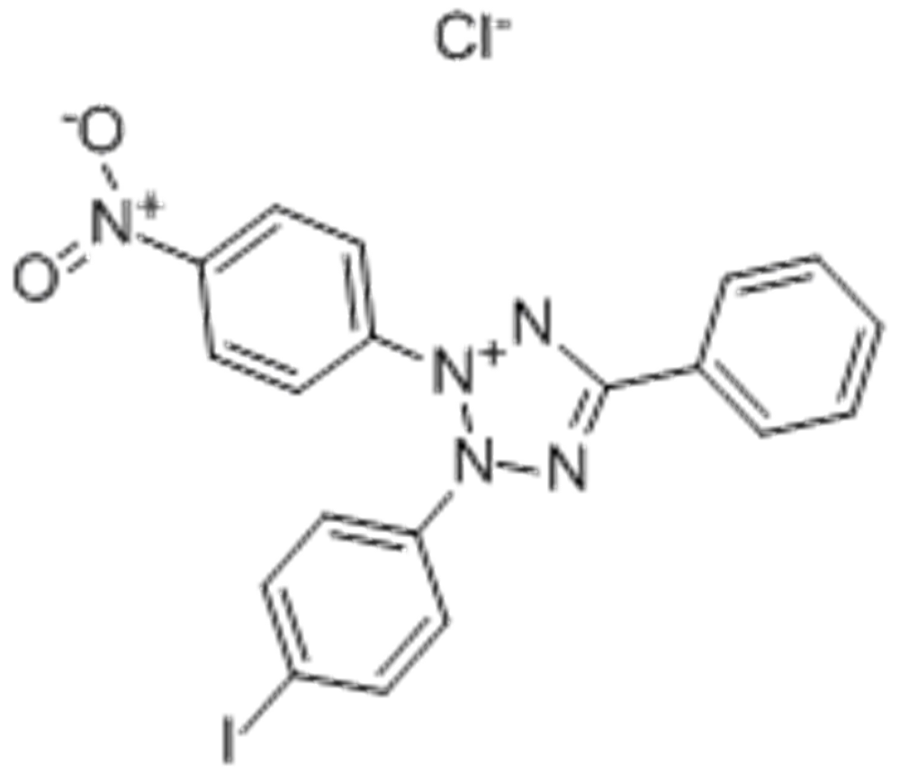 碘硝基四唑紫