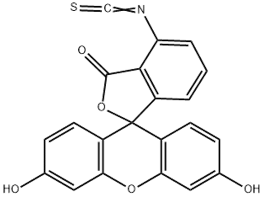 6-异硫氰酸荧光素