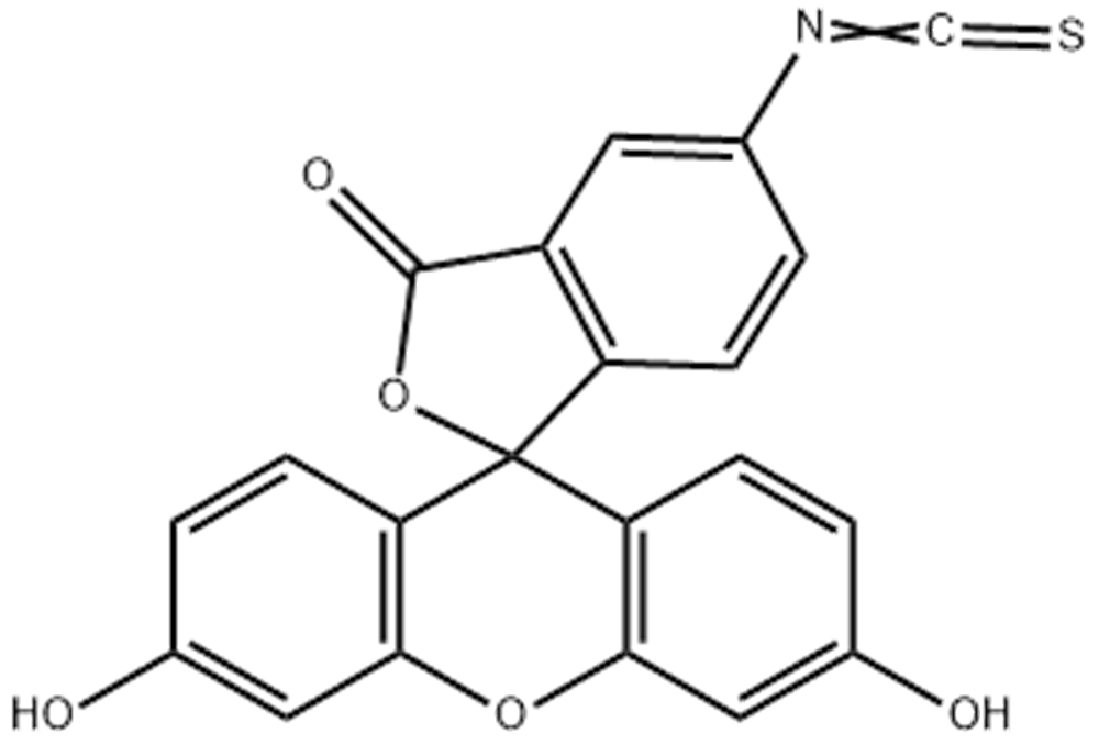 异硫氰酸荧光素酯