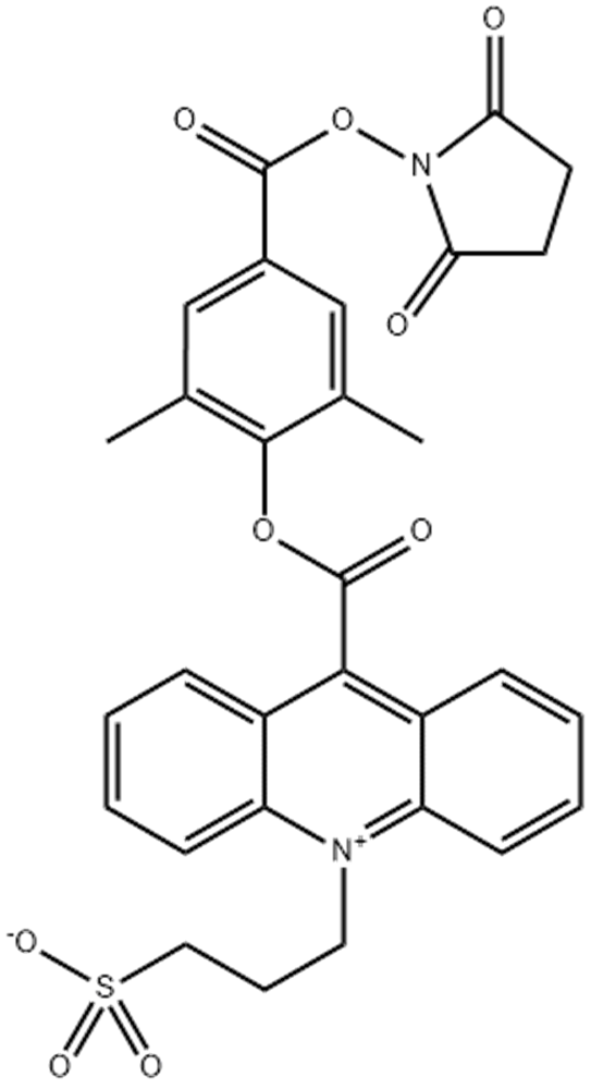 吖啶酯