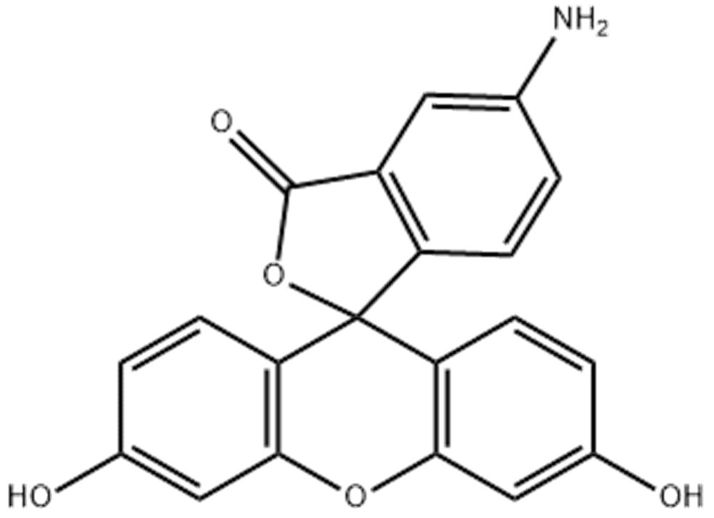 5-氨基荧光素
