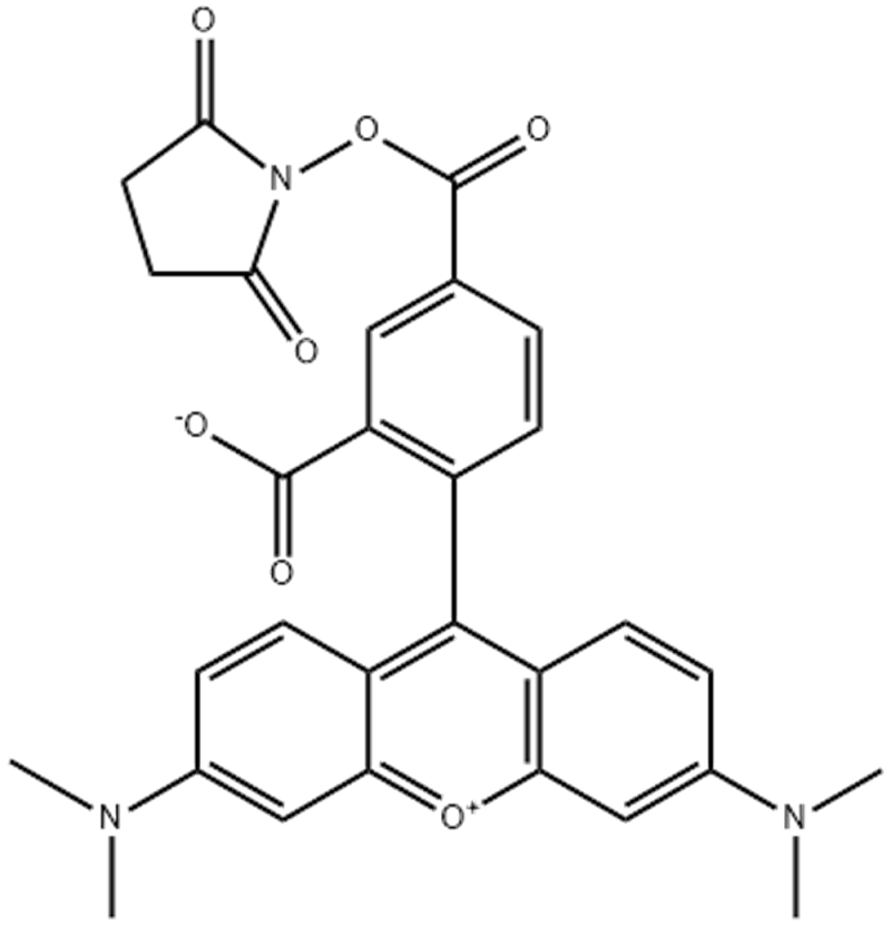 5-羧基四甲基罗丹明琥珀酰亚胺酯