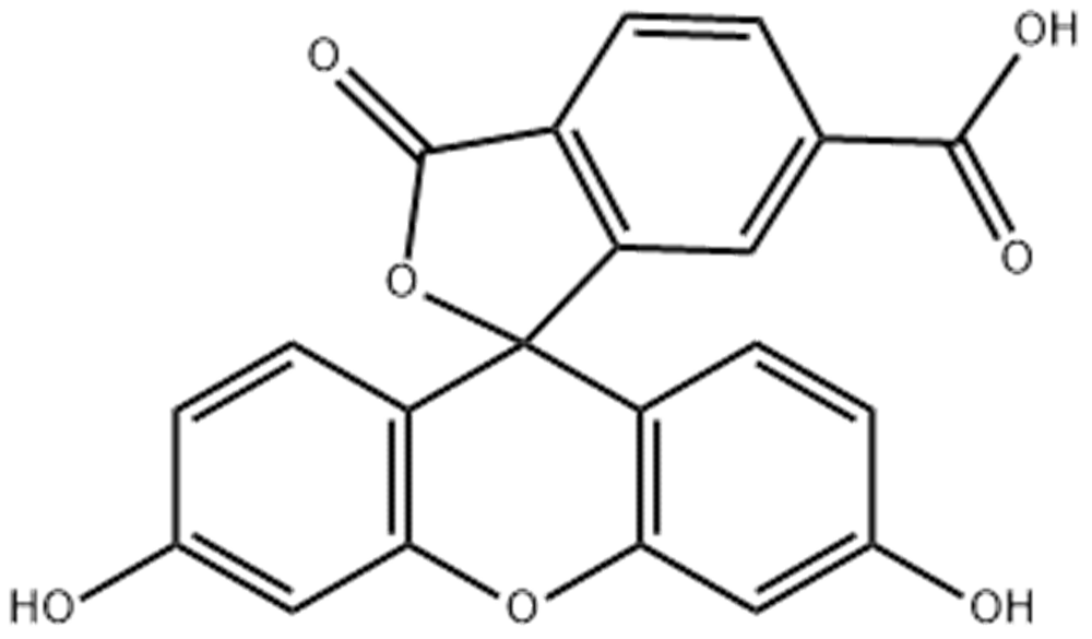 6-羧基荧光素