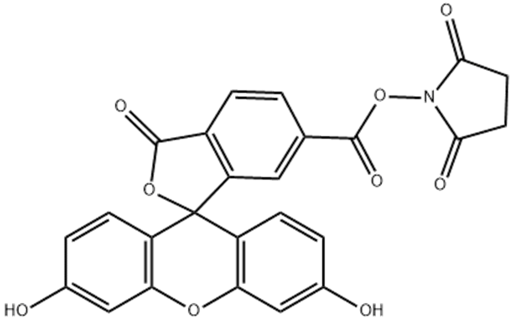 6-羧基荧光素琥珀酰亚胺醚