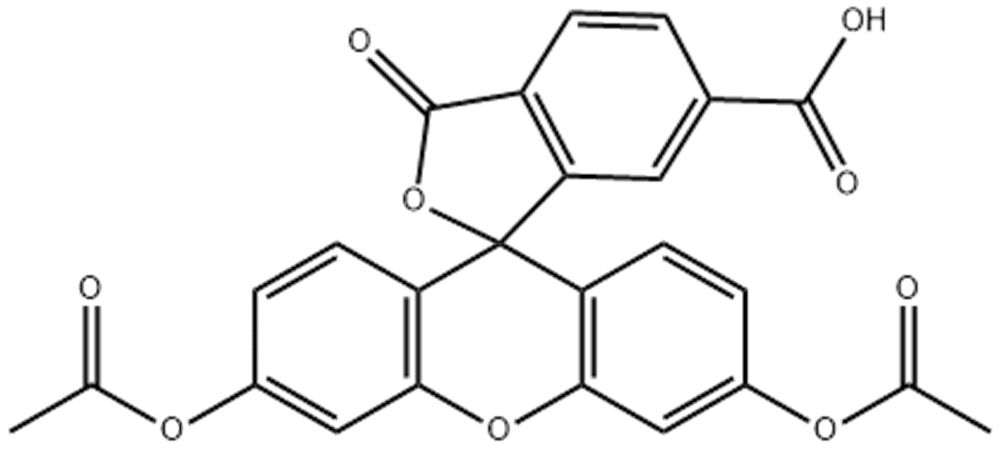 6-羧基荧光素二乙酸酯