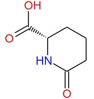 (S)-2-哌啶酮-6-羧基 酸