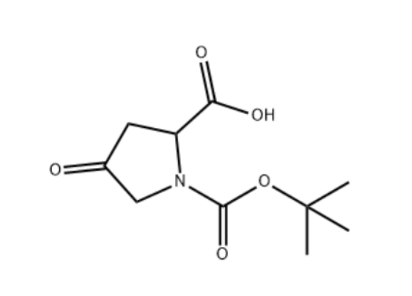 1-叔丁基-4-氧吡咯烷-2-羧酸