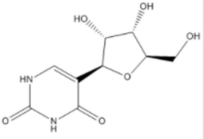 假尿苷