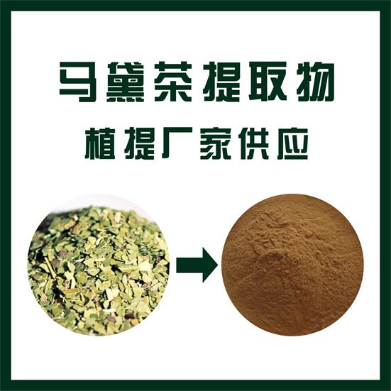 马黛茶提取物