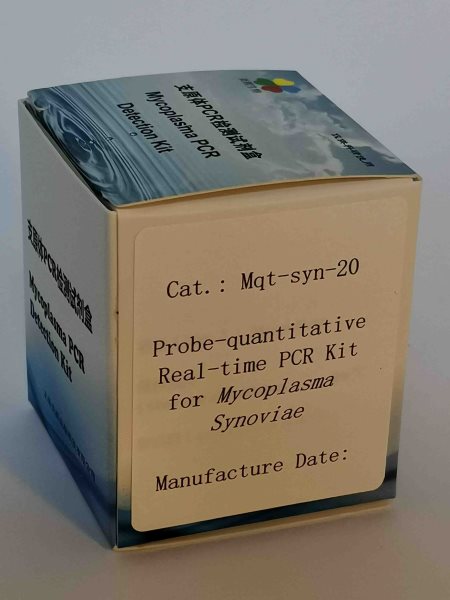 探针法滑液支原体实时定量PCR试剂盒