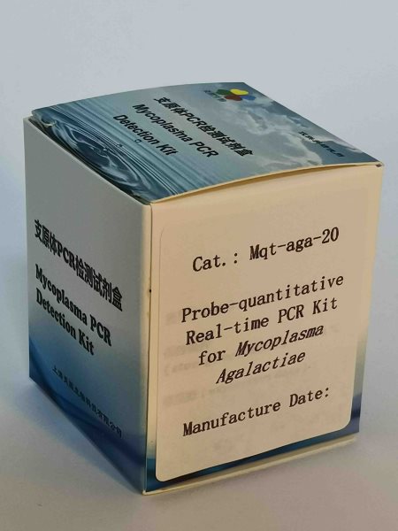 探针法无乳支原体实时定量PCR试剂盒