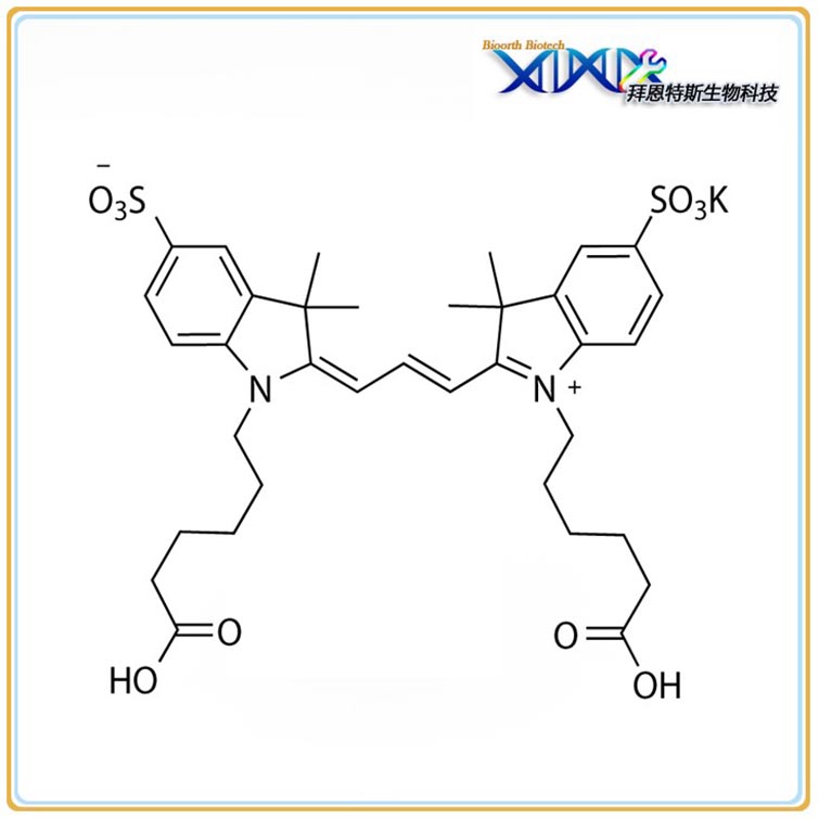 Sulfo-Cyanine3 Dicarboxylic Acid