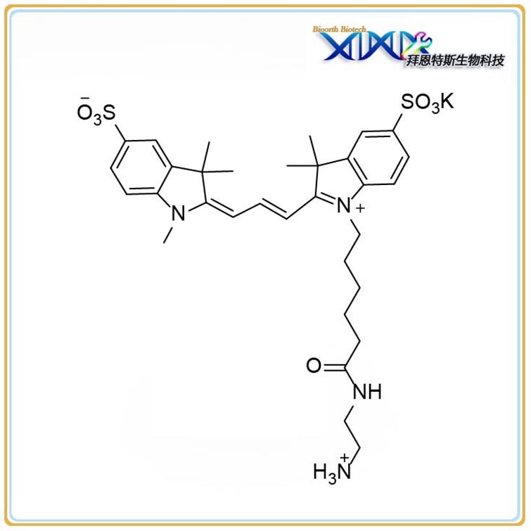 Sulfo-Cyanine3 C2 Amine Me, Cy3 Amine