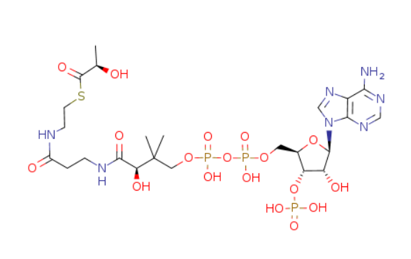 L乳酰-辅酶a