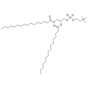 二棕榈酸磷脂酰胆碱