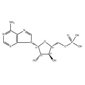 单磷酸阿糖腺苷