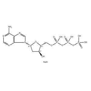 2′-脱氧腺苷-5′-三磷酸二钠盐
