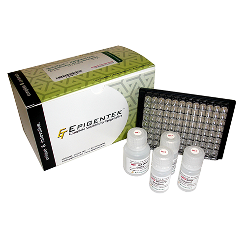 MethylFlash全球DNA甲基化（5-mC）ELISA简易试剂盒