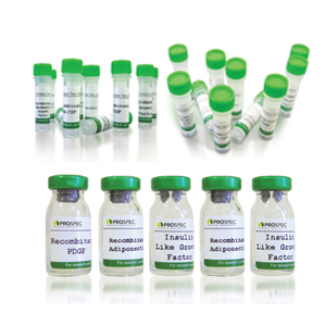 Recombinant Human Cardiac Troponin-I